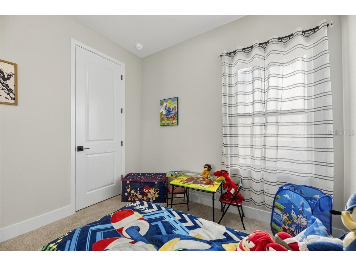 11329 Hardwood Hammock Lane Riverview FL 33569 TB8445333 image41