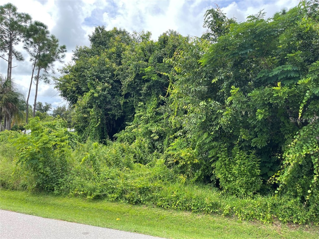 11329 Pinetrail Road Punta Gorda FL 33955 C7514929 image2