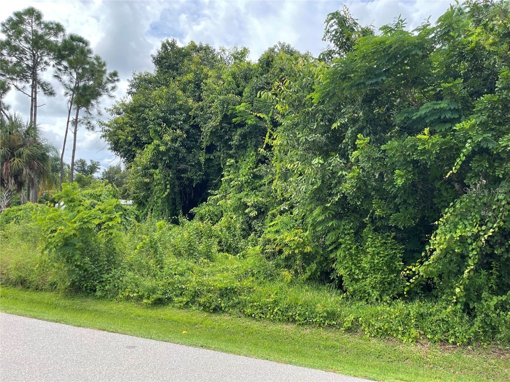 11329 Pinetrail Road Punta Gorda FL 33955 C7514929 image3