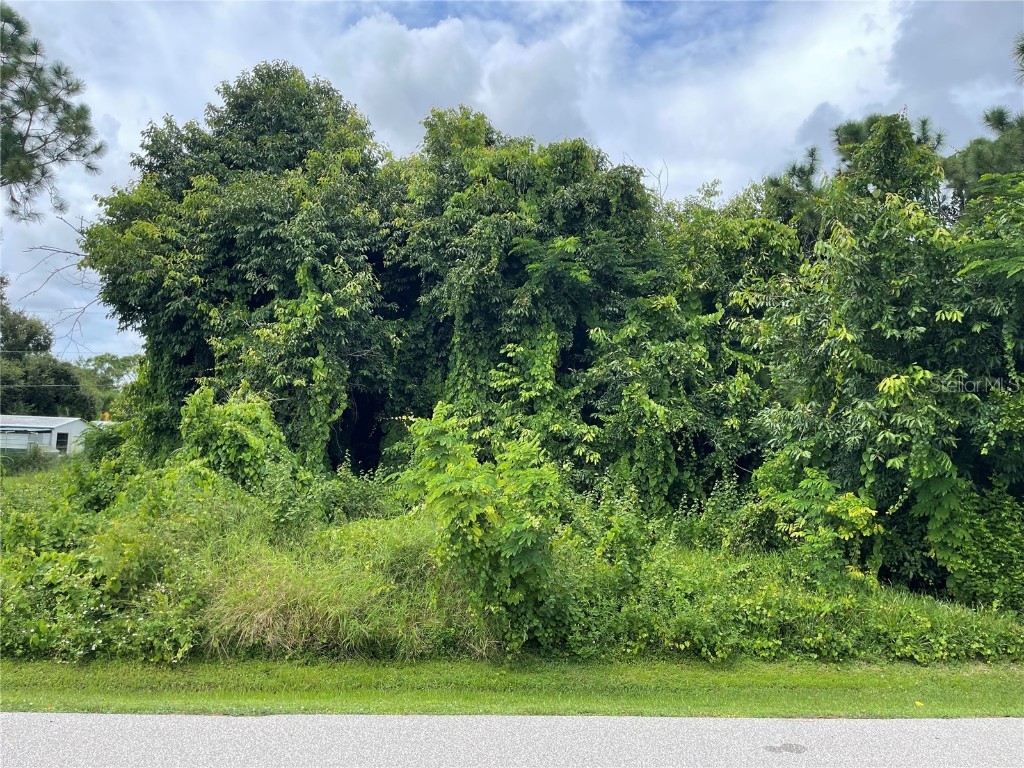 11329 Pinetrail Road Punta Gorda FL 33955 C7514929 image4