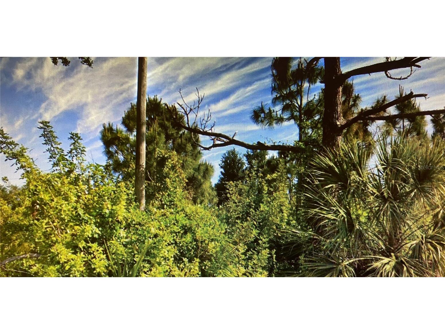 11329 Rockwell Avenue Englewood FL 34224 W7880373 image1