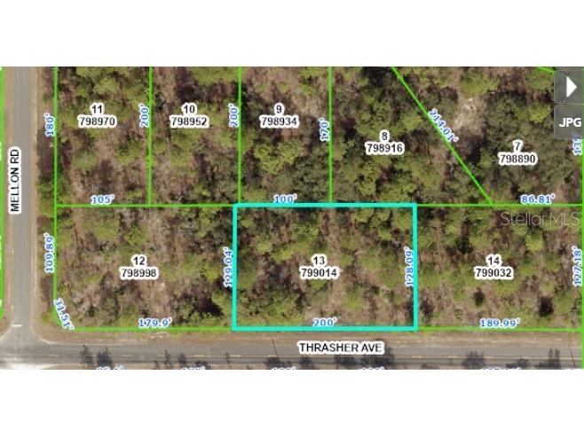 11329 Thrasher Avenue Weeki Wachee FL 34614 W7861283 image1