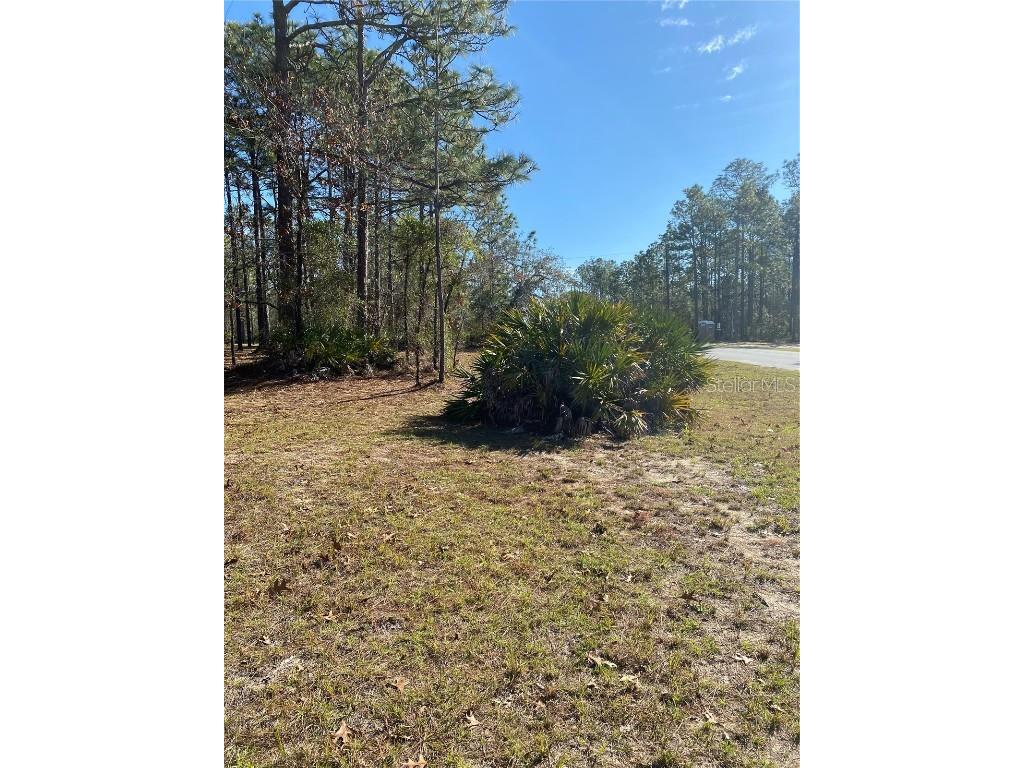 11329 Tinamou Avenue Weeki Wachee FL 34614 W7862003 image1