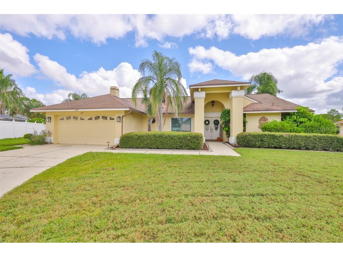 11329 Torrey Pines Drive Riverview FL 33579 TB8435582 image1