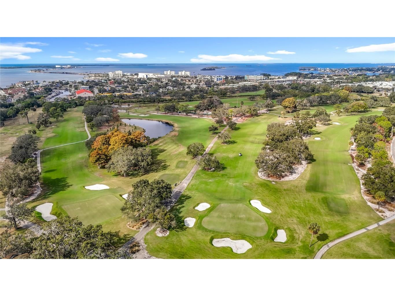 1133 Burke Avenue Dunedin FL 34698 TB8451251 image56