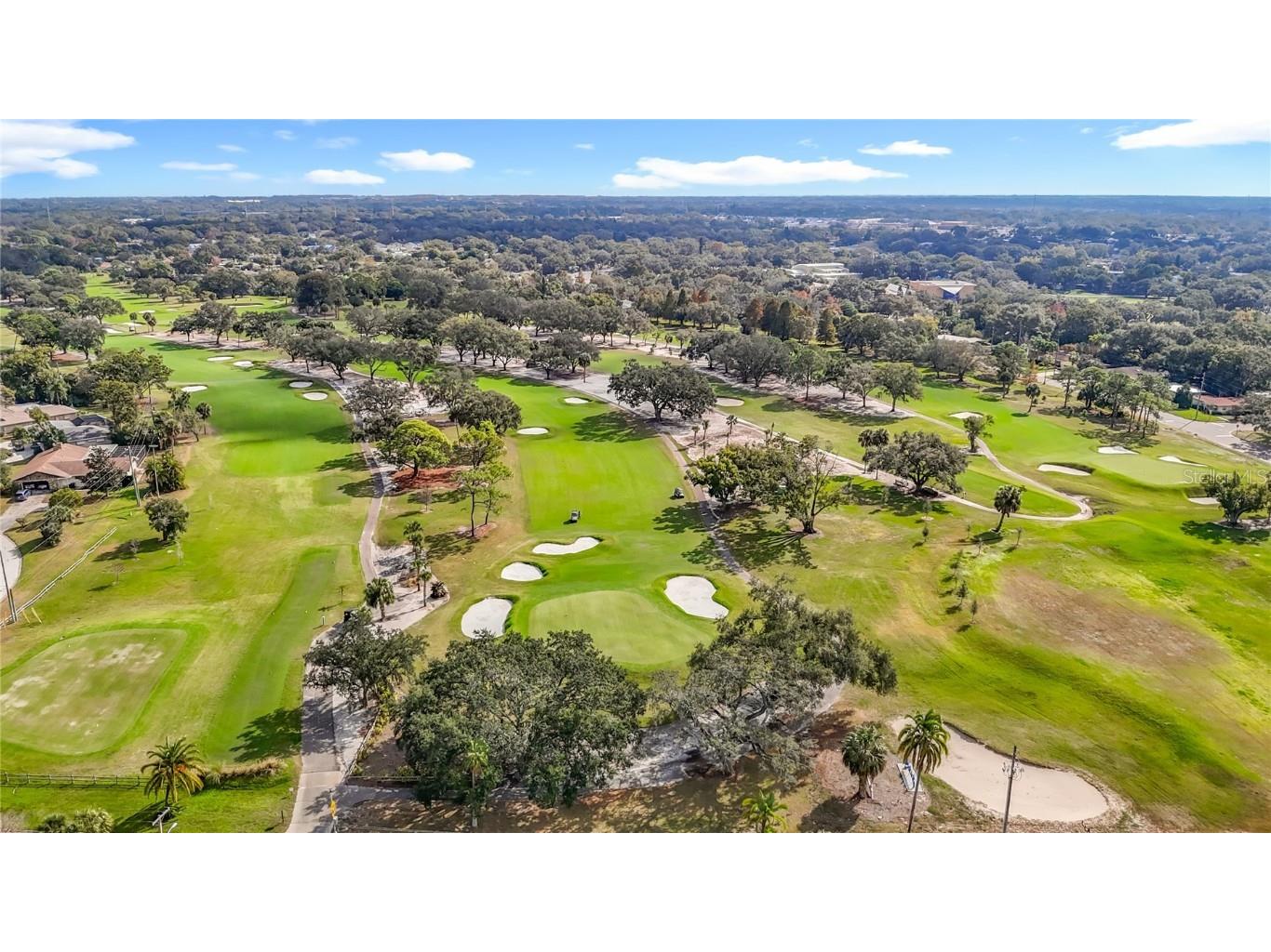 1133 Burke Avenue Dunedin FL 34698 TB8451251 image57