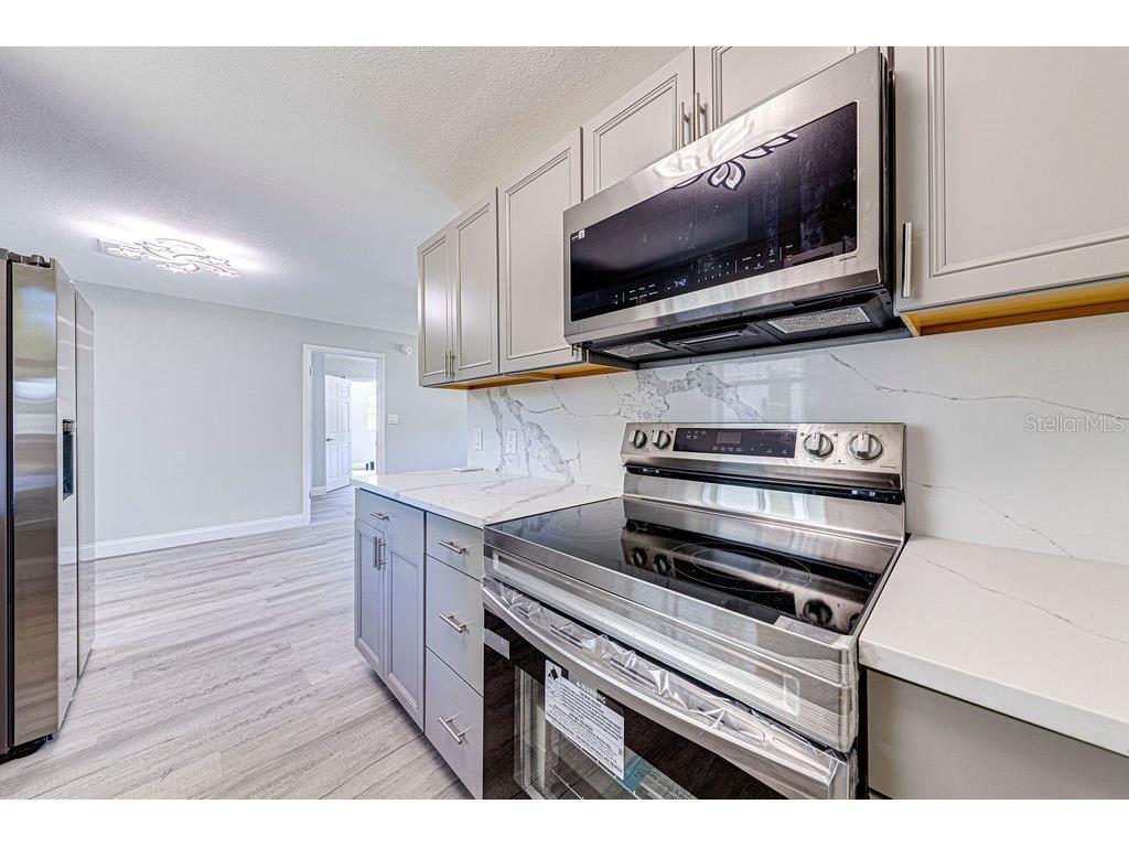 1133 Hermit Smith Road Apopka FL 32712 O6398540 image5