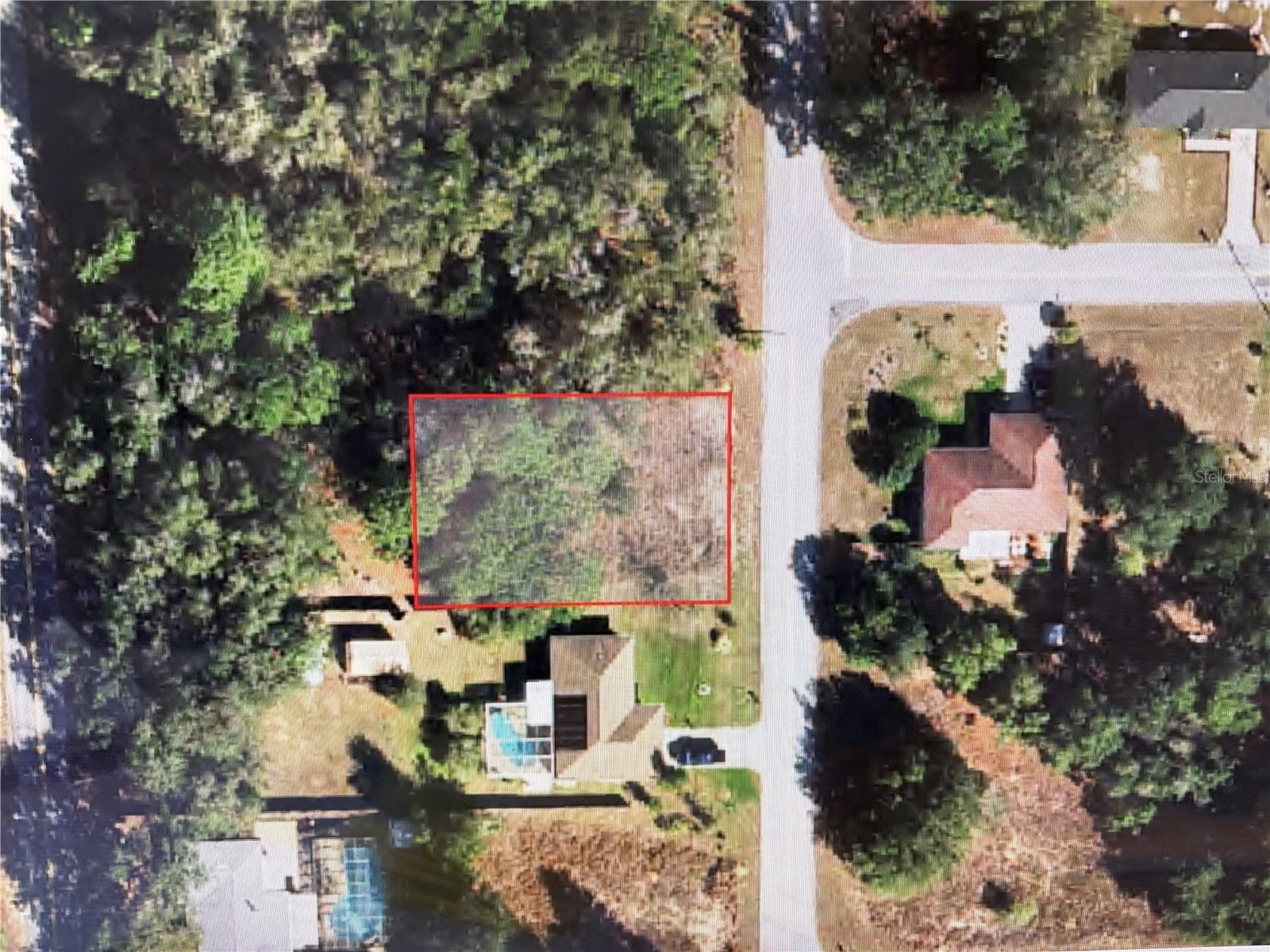 1133 Rutgers Terrace Inverness FL 34452 OM722572 image1