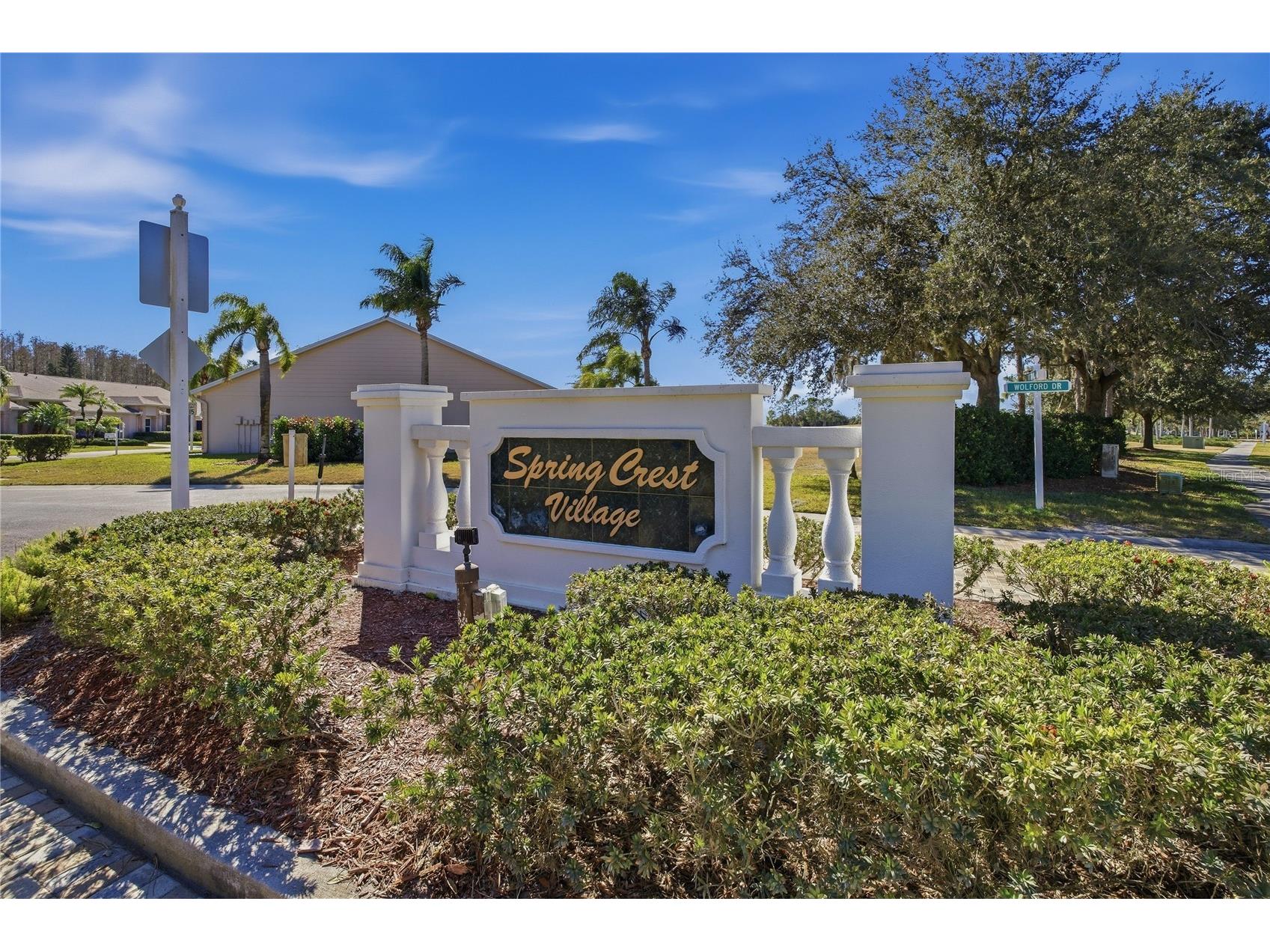 1133 Sweet Jasmine Drive Trinity FL 34655 W7882749 image3