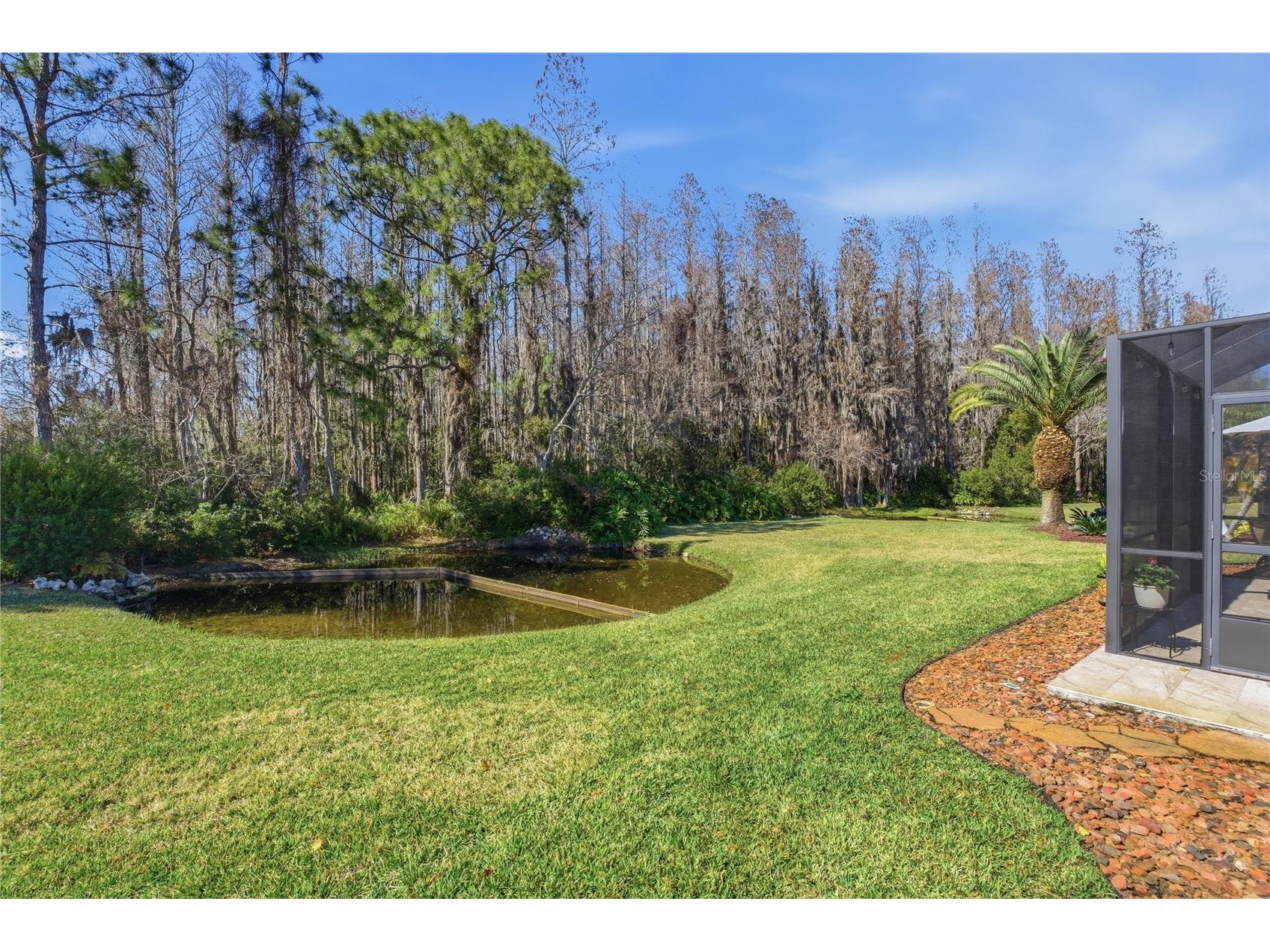 1133 Sweet Jasmine Drive Trinity FL 34655 W7882749 image39