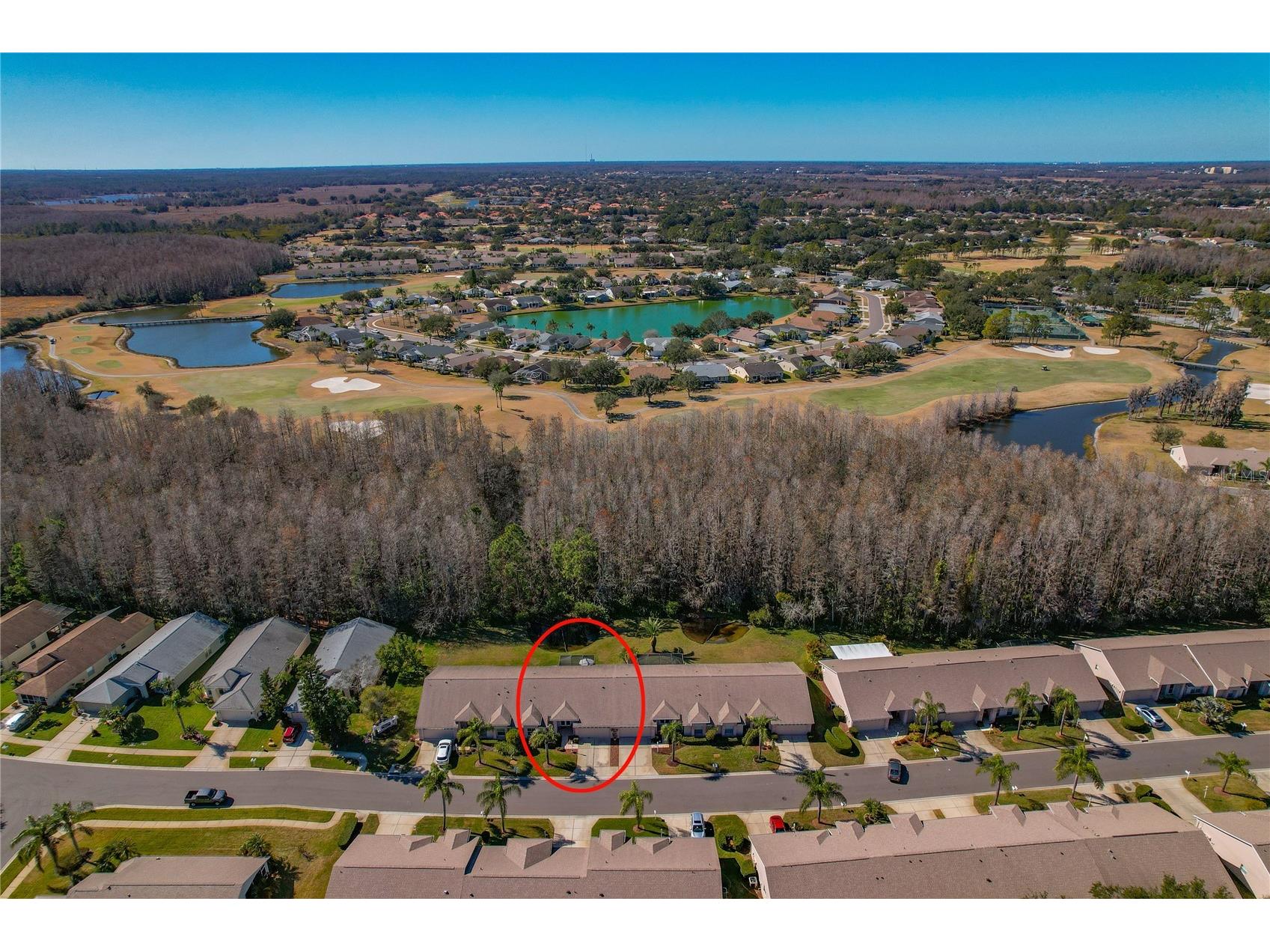 1133 Sweet Jasmine Drive Trinity FL 34655 W7882749 image41