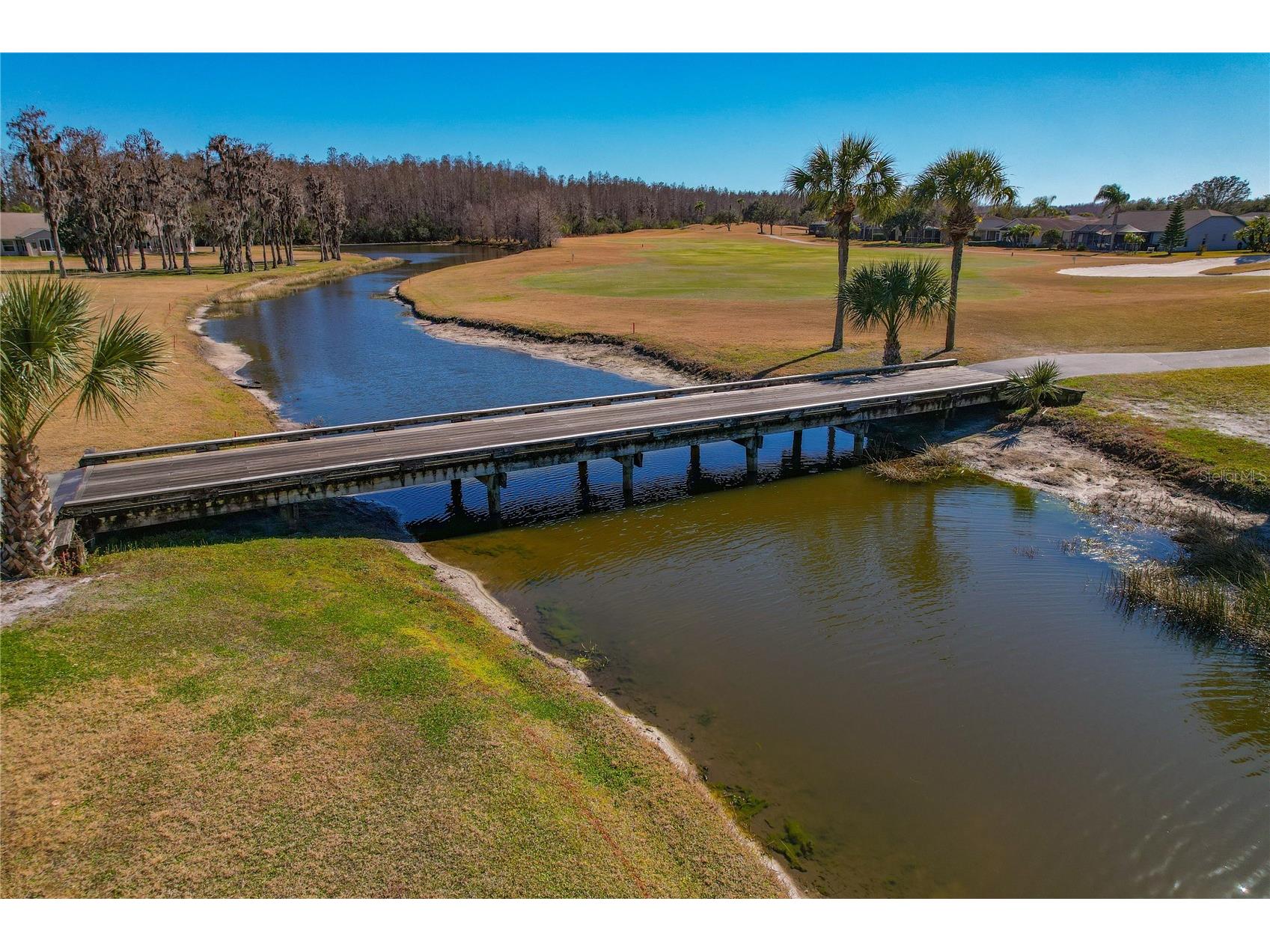 1133 Sweet Jasmine Drive Trinity FL 34655 W7882749 image62