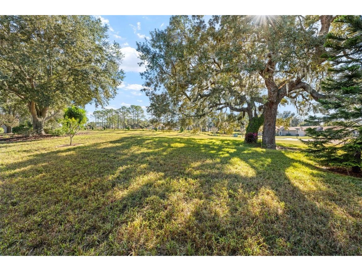 11330 Leeds Drive Spring Hill FL 34609 W7881403 image51