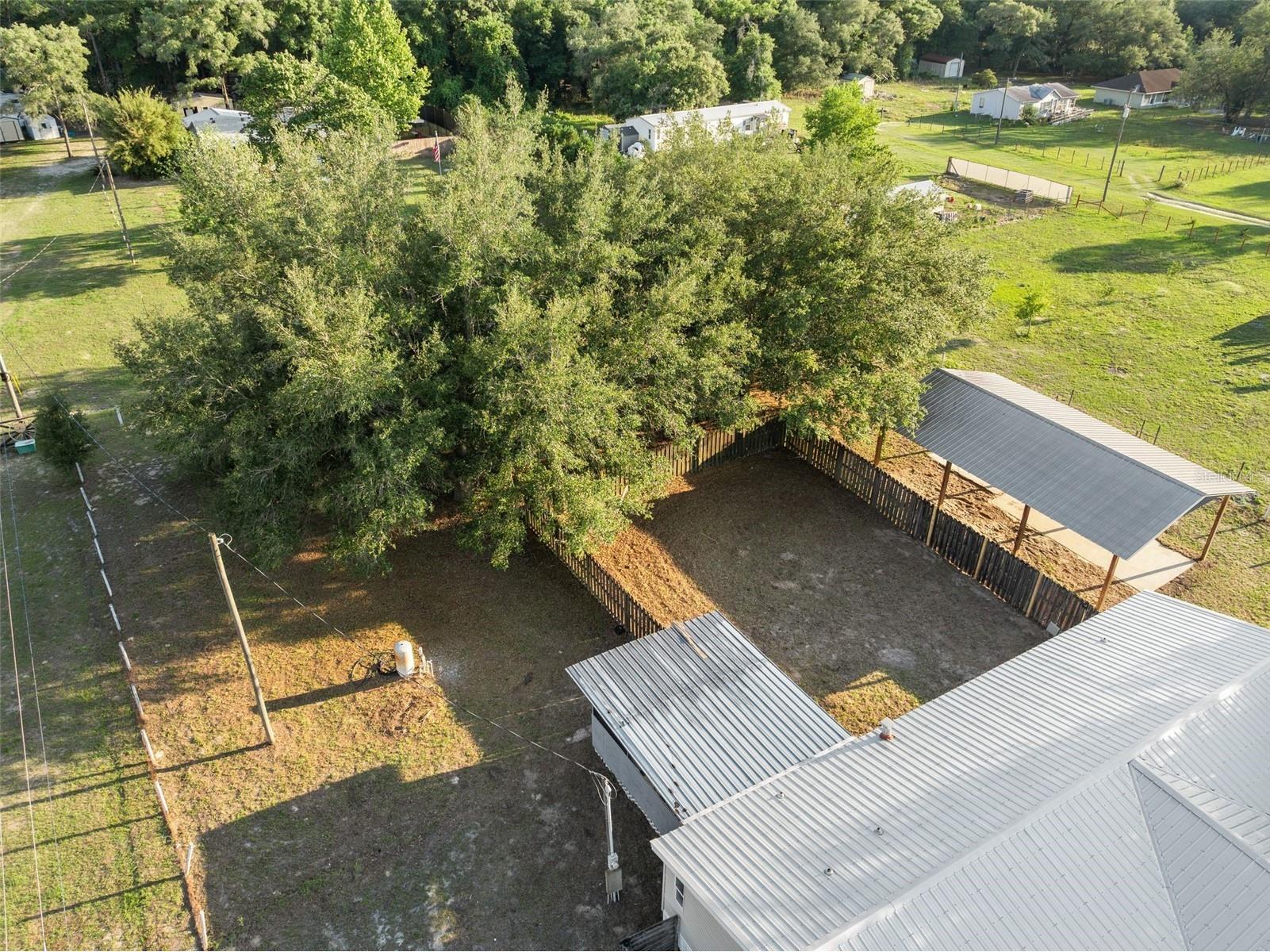 11330 NE 84th Court Bronson FL 32621 OM724954 image42