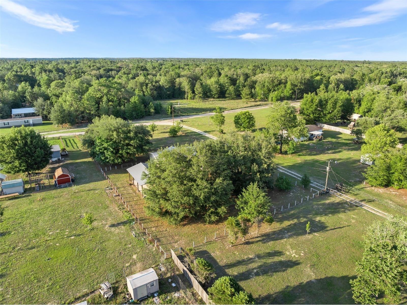 11330 NE 84th Court Bronson FL 32621 OM724954 image43