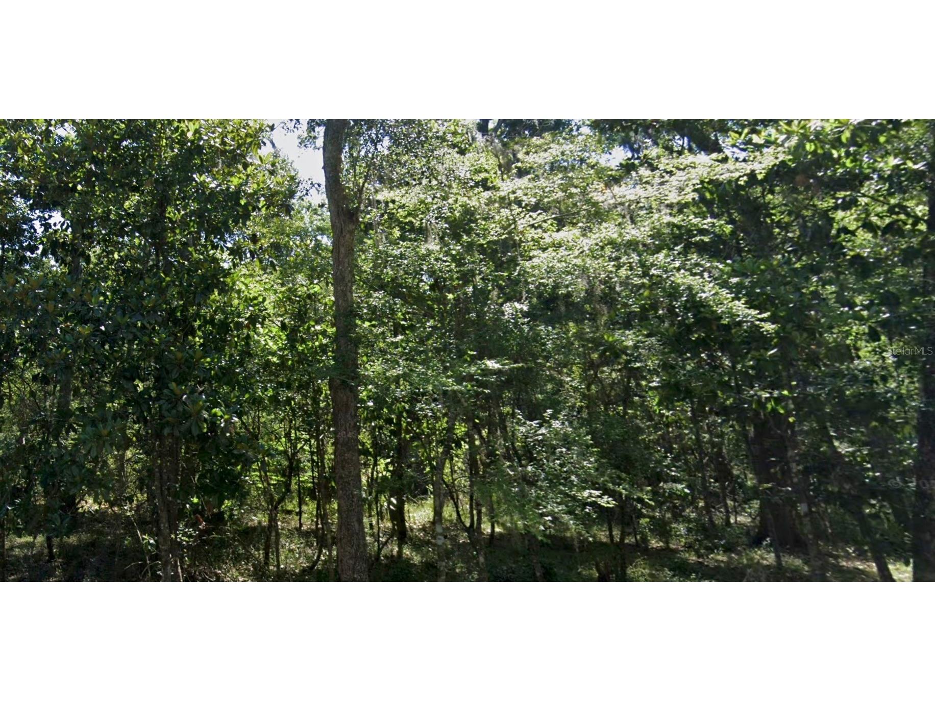 11330 Royal Drive Brooksville FL 34601 W7887665 image10