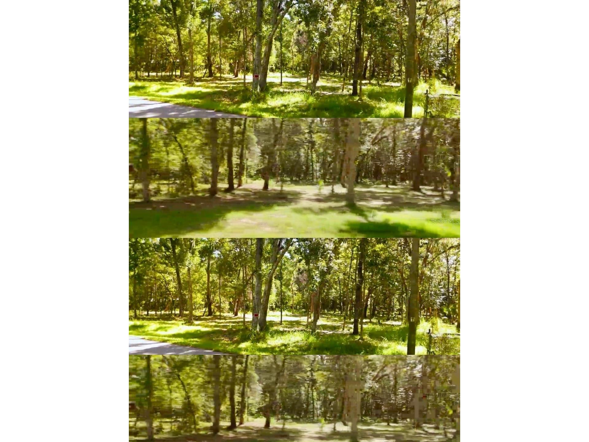 11330 Royal Drive Brooksville FL 34601 W7887665 image11