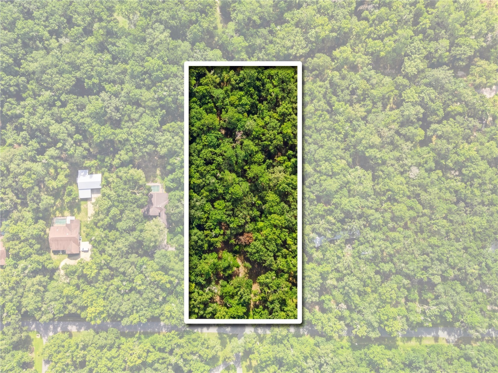11330 Royal Drive Brooksville FL 34601 W7887665 image14