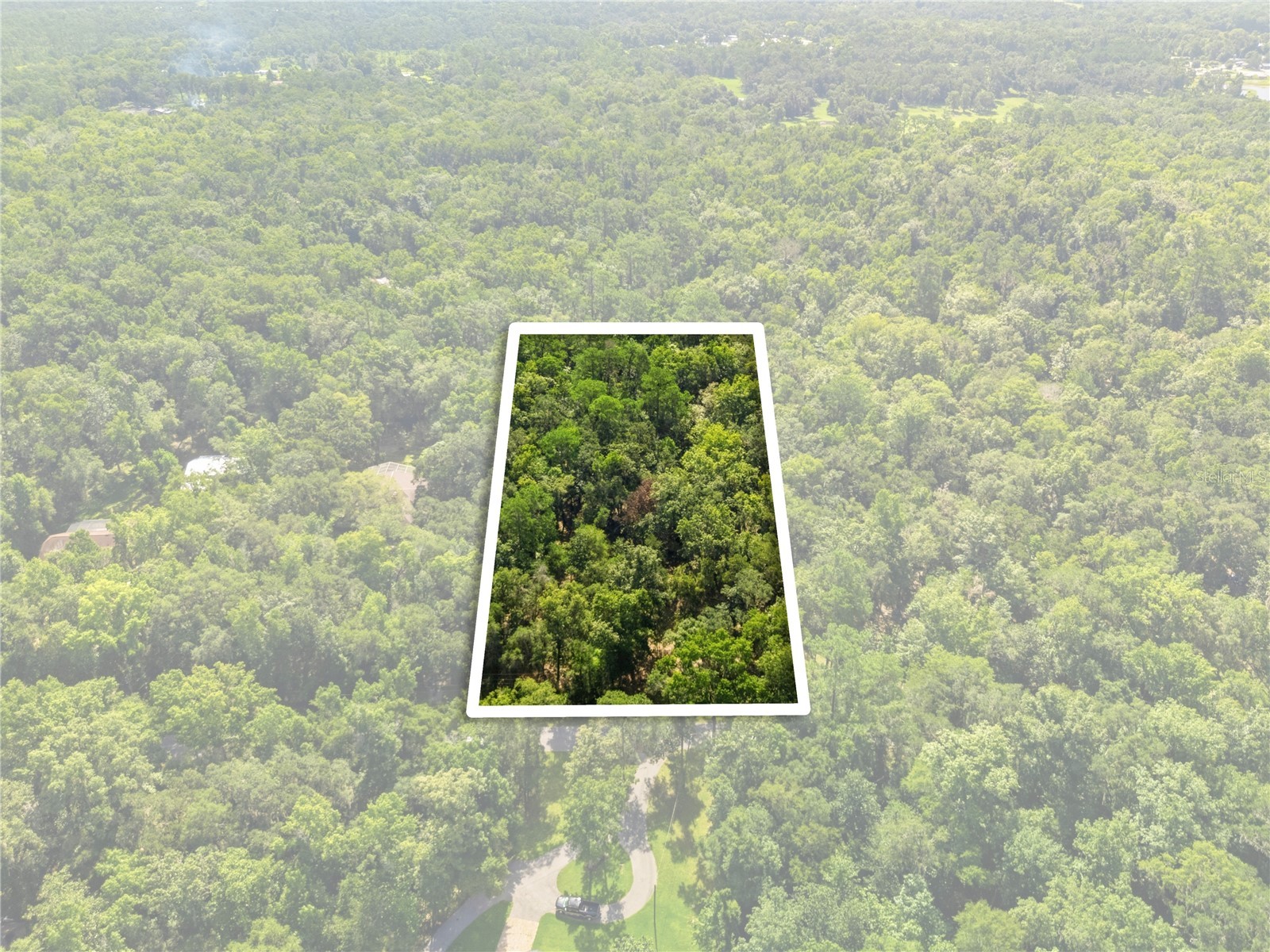 11330 Royal Drive Brooksville FL 34601 W7887665 image17