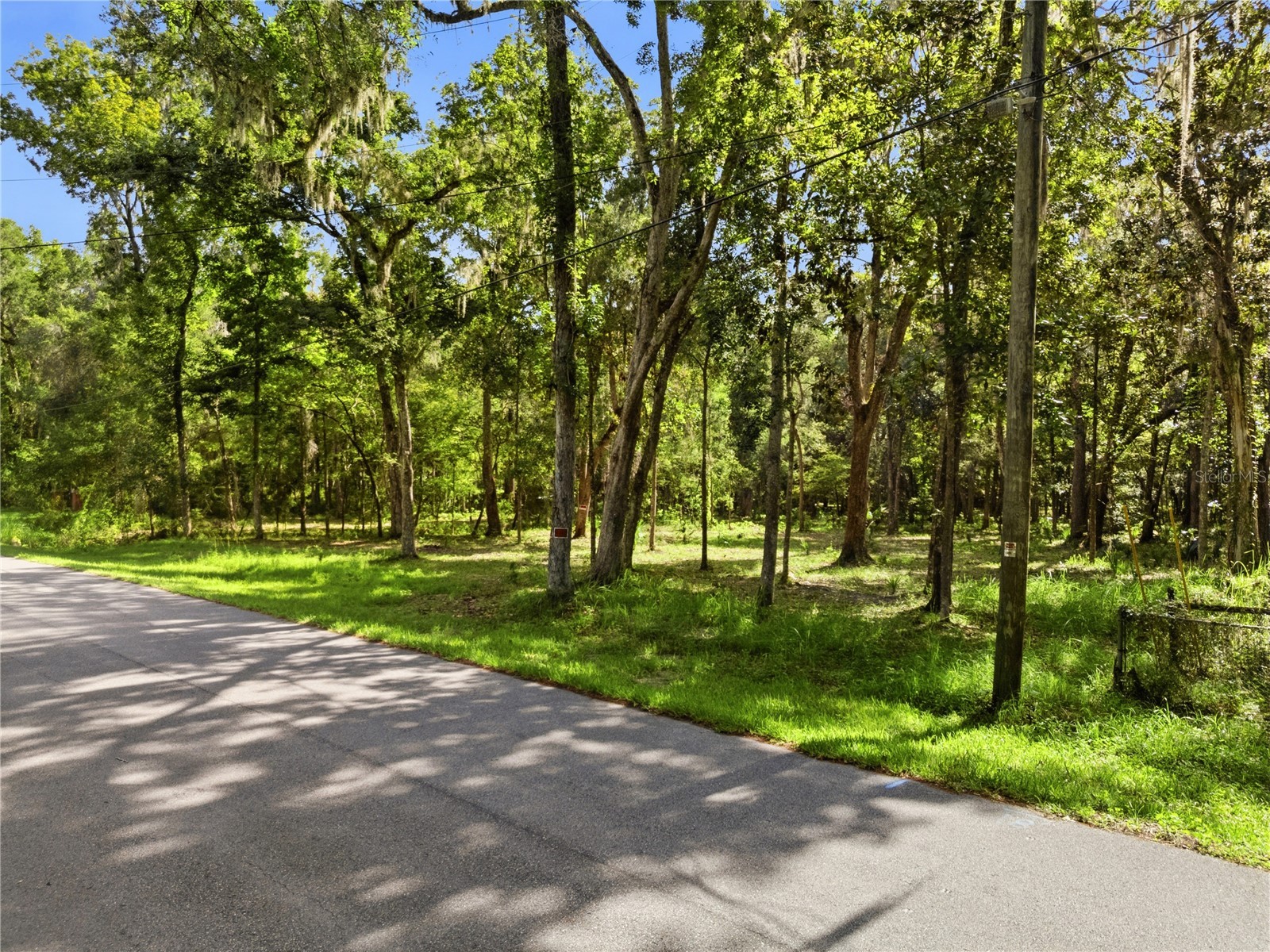 11330 Royal Drive Brooksville FL 34601 W7887665 image2