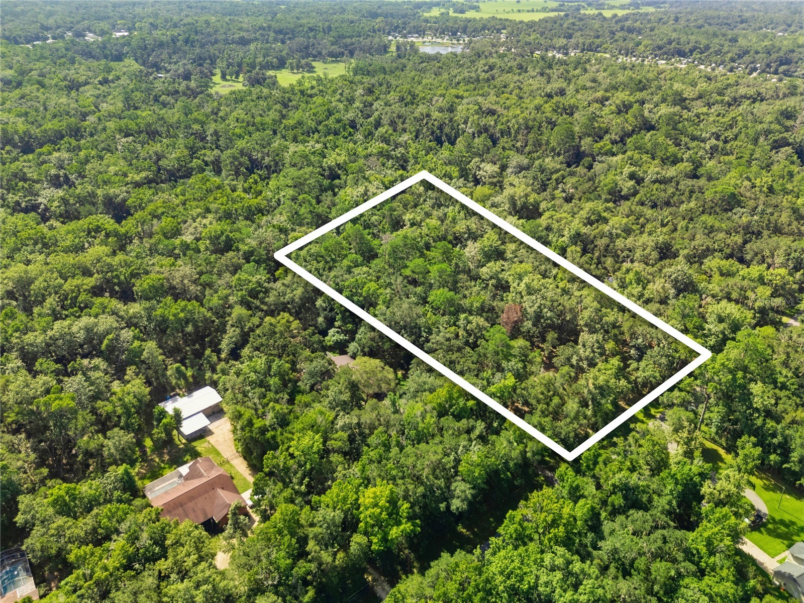 11330 Royal Drive Brooksville FL 34601 W7887665 image25