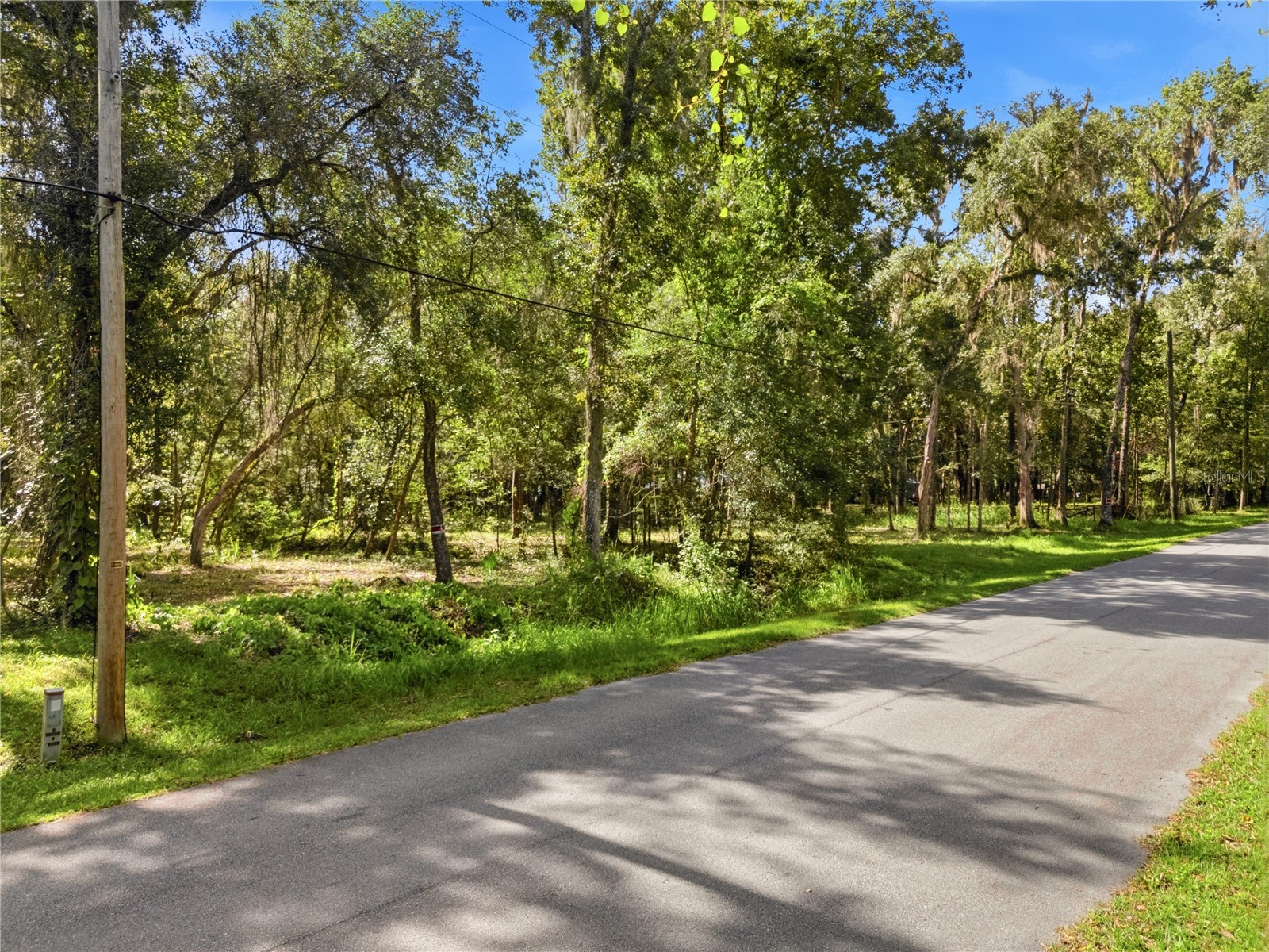 11330 Royal Drive Brooksville FL 34601 W7887665 image3