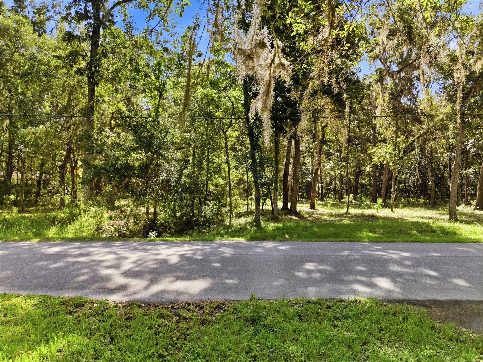 11330 Royal Drive Brooksville FL 34601 W7887665 image4