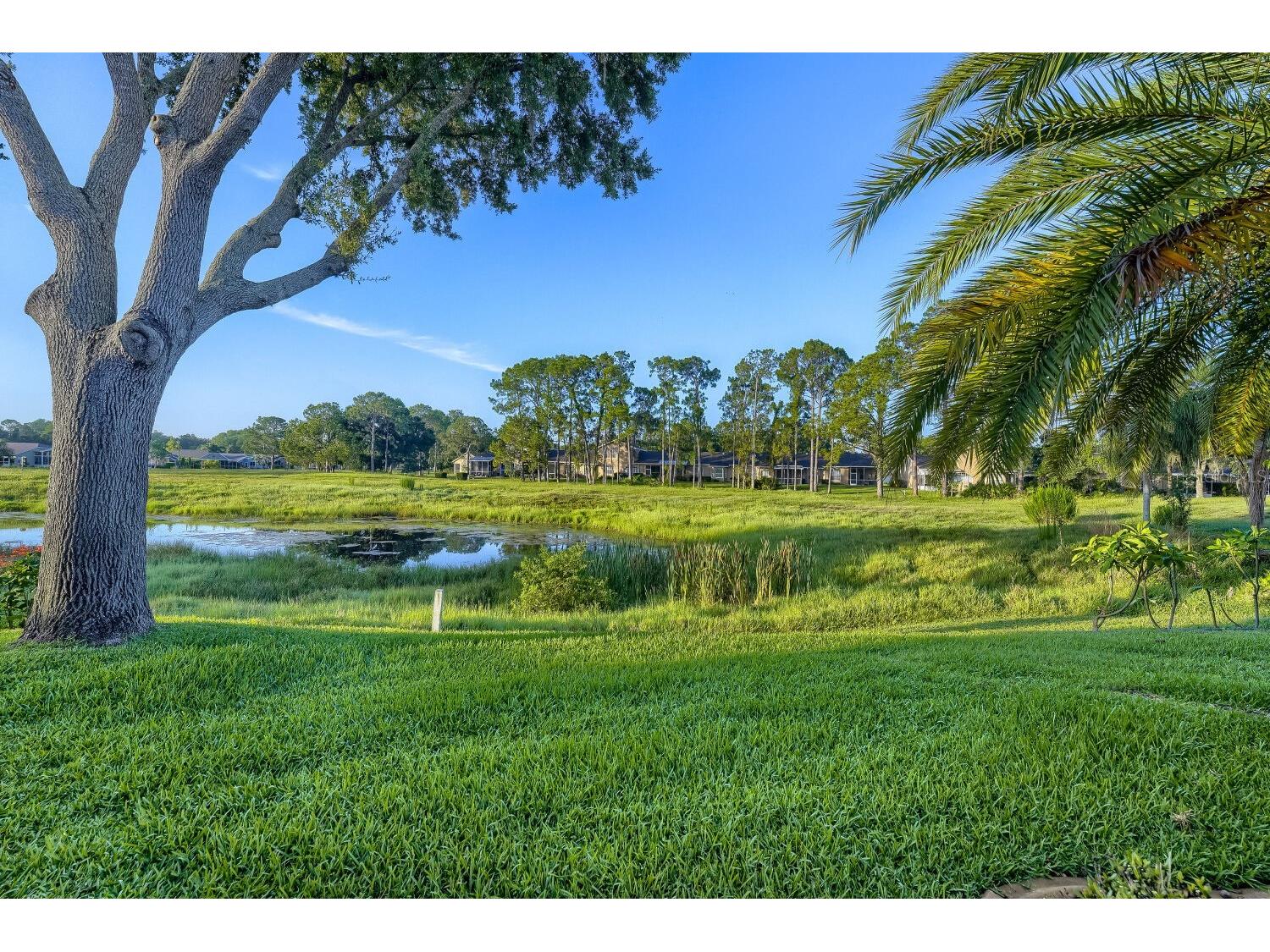 11330 Tee Time Circle New Port Richey FL 34654 TB8520314 image30