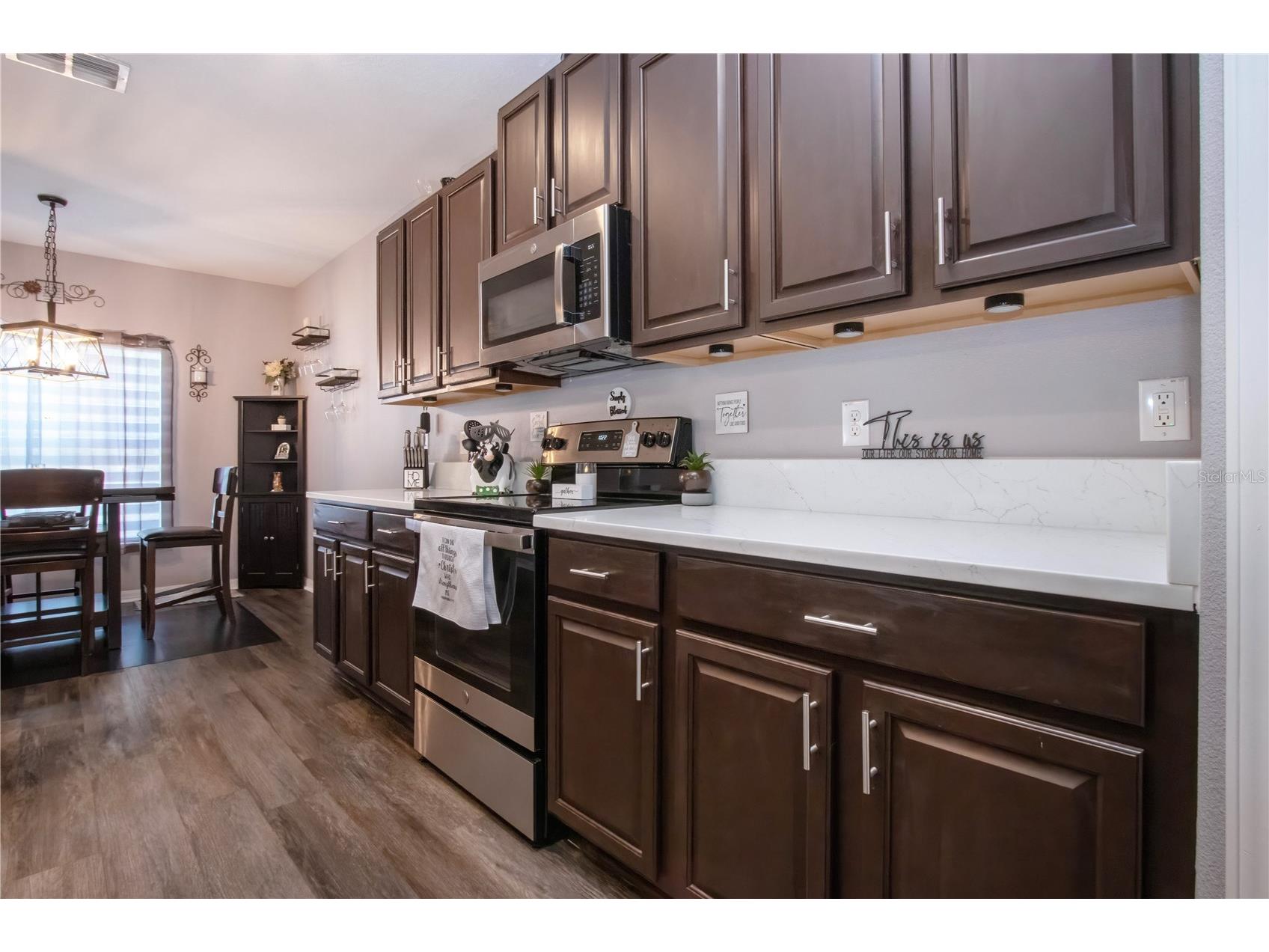 11330 Villas On The Green Drive Riverview FL 33579 TB8509632 image26