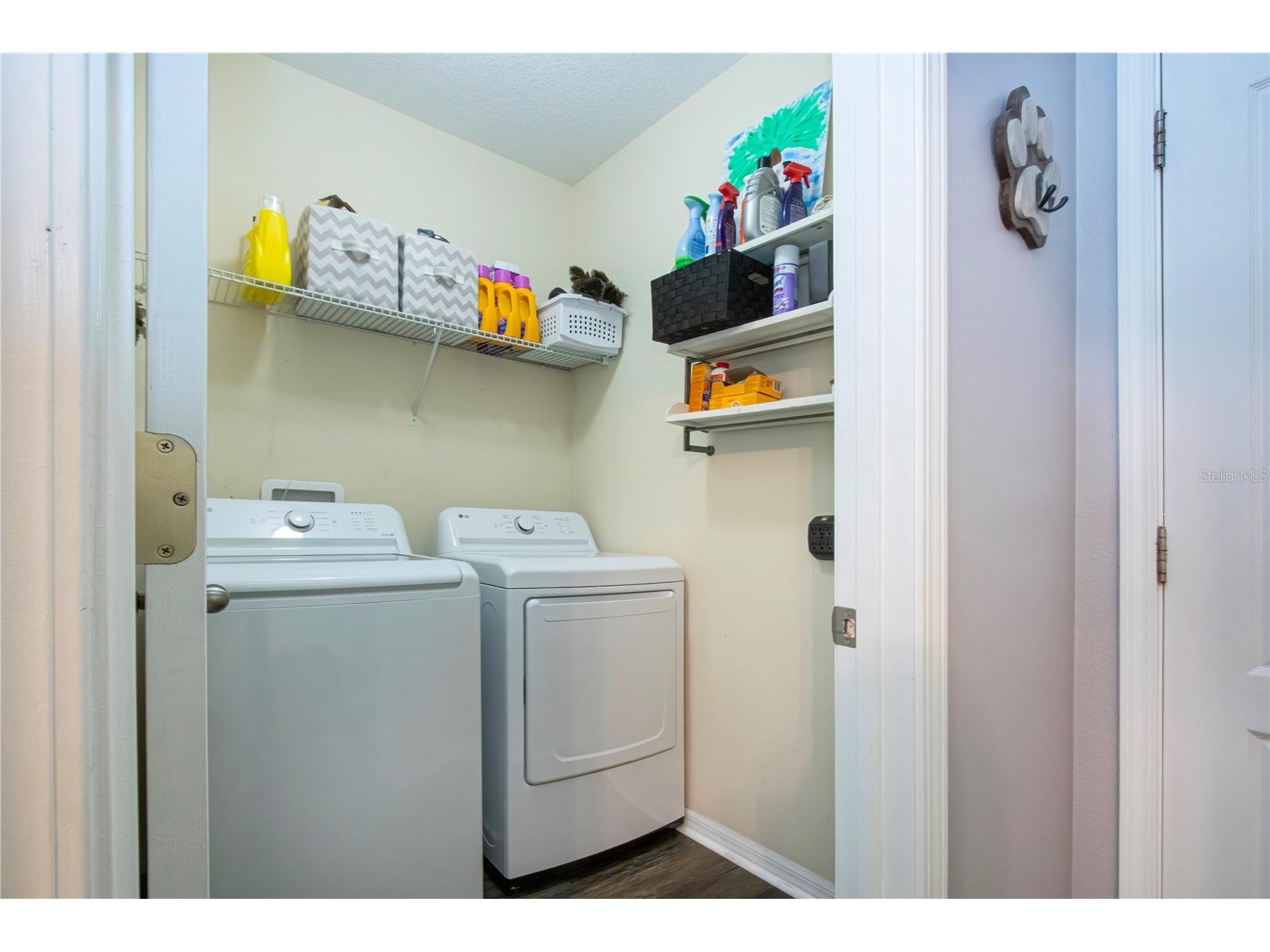 11330 Villas On The Green Drive Riverview FL 33579 TB8509632 image36