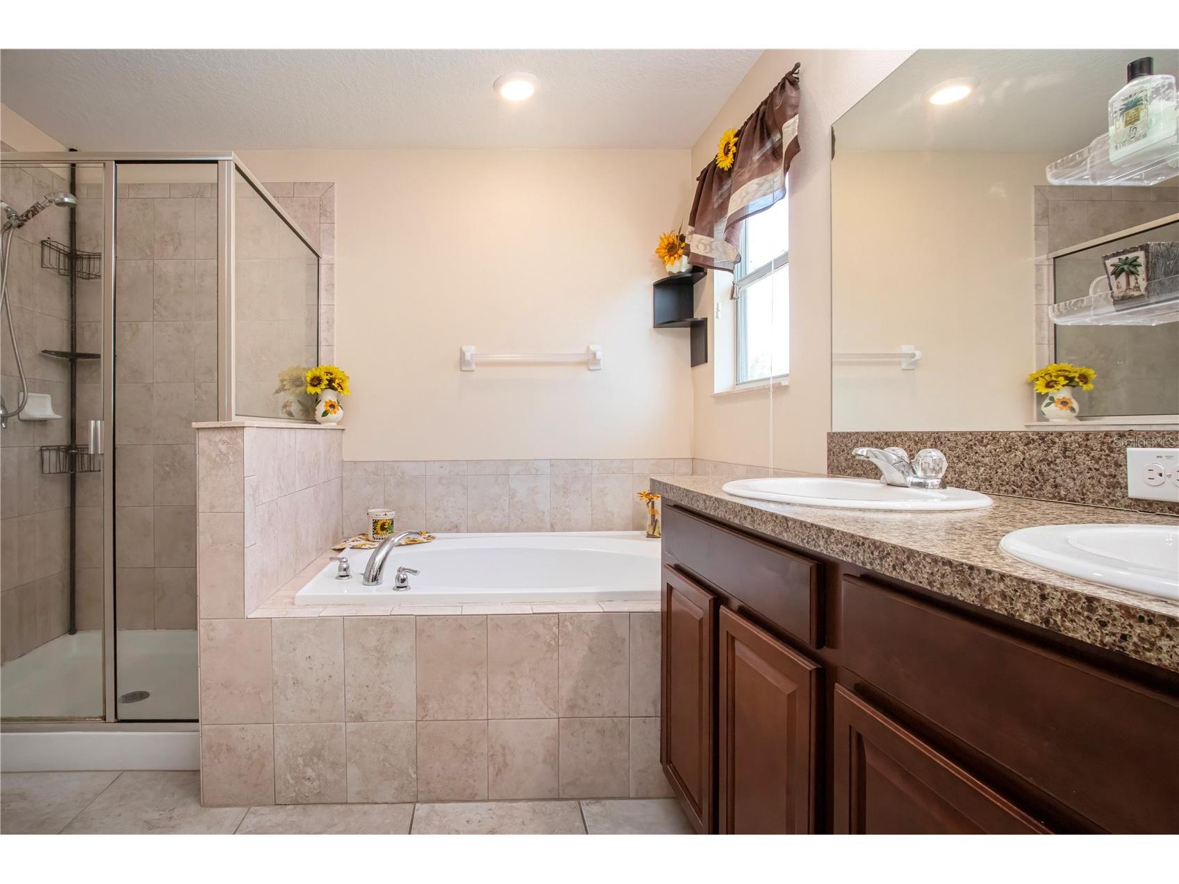 11330 Villas On The Green Drive Riverview FL 33579 TB8509632 image44