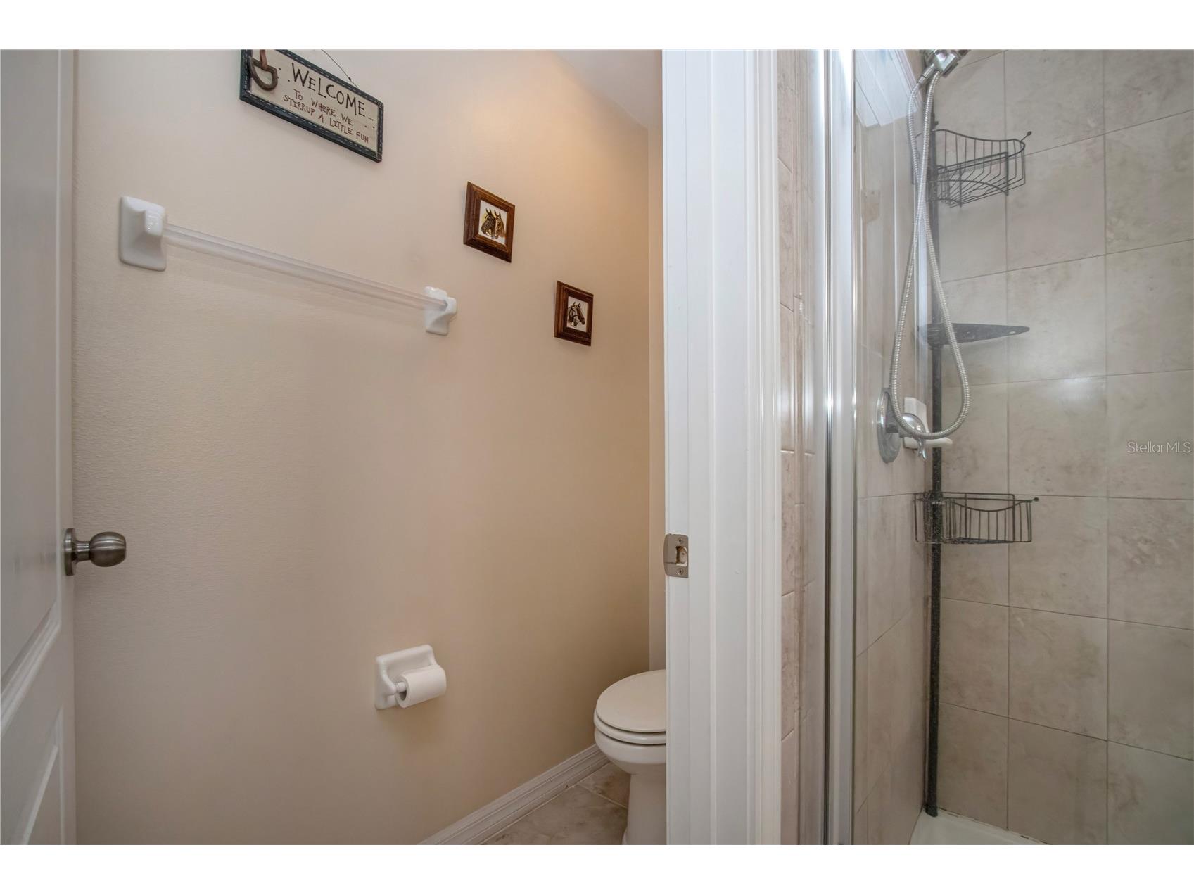 11330 Villas On The Green Drive Riverview FL 33579 TB8509632 image45