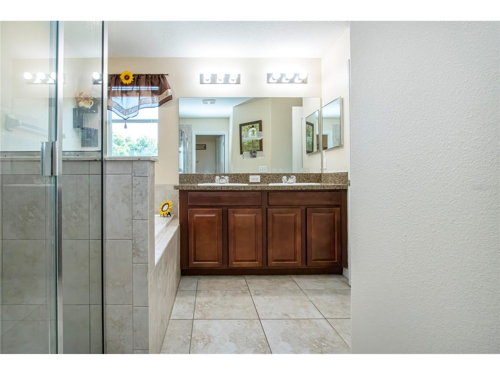 11330 Villas On The Green Drive Riverview FL 33579 TB8509632 image46