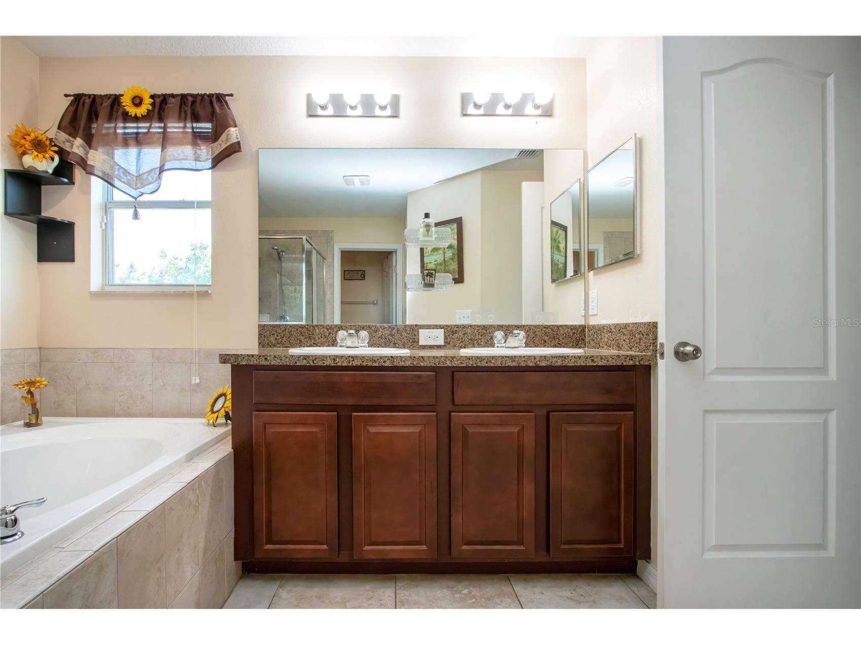 11330 Villas On The Green Drive Riverview FL 33579 TB8509632 image47