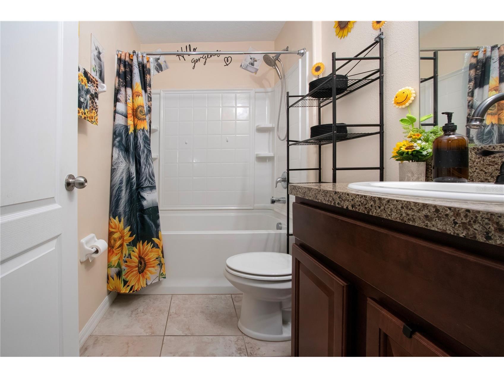 11330 Villas On The Green Drive Riverview FL 33579 TB8509632 image54