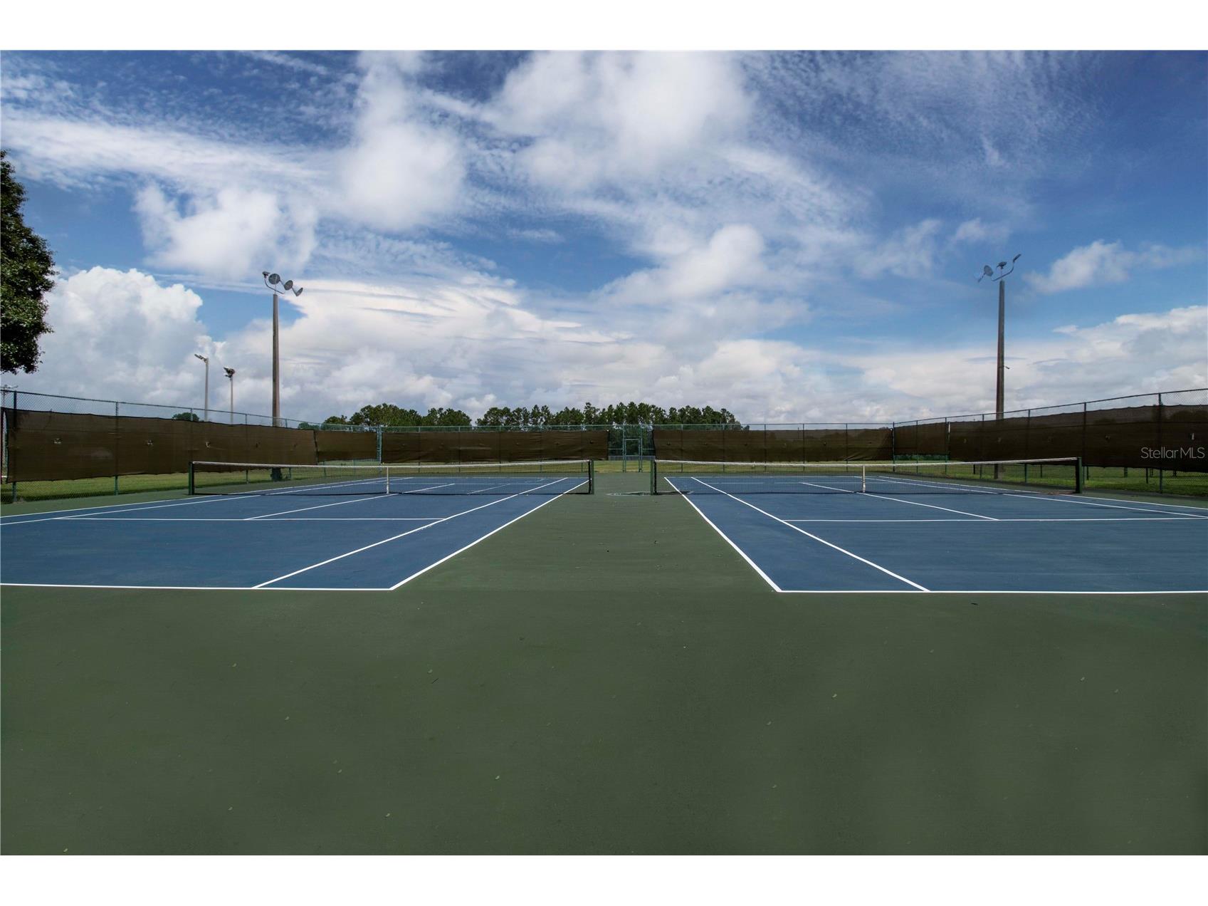 11330 Villas On The Green Drive Riverview FL 33579 TB8509632 image62