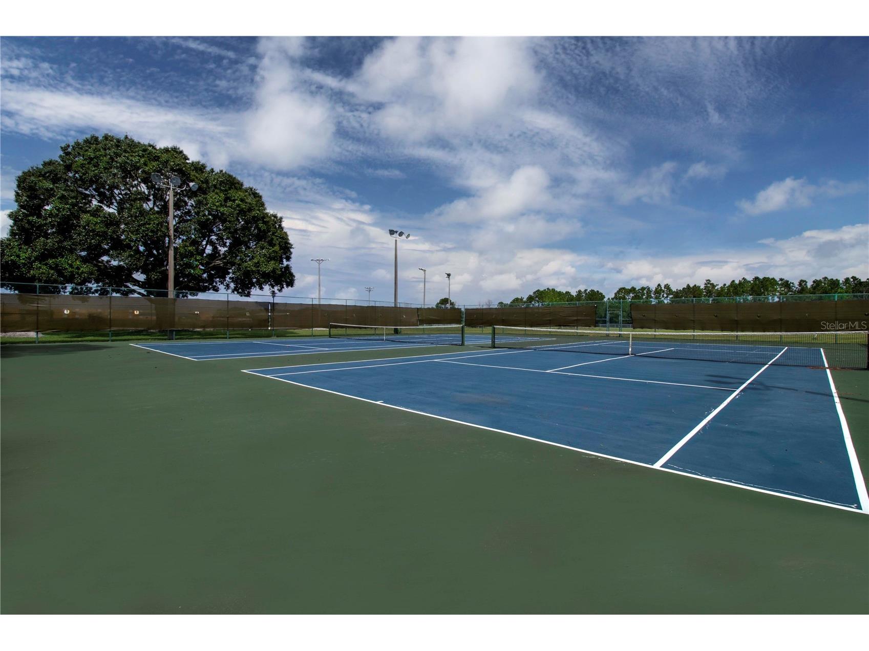 11330 Villas On The Green Drive Riverview FL 33579 TB8509632 image63