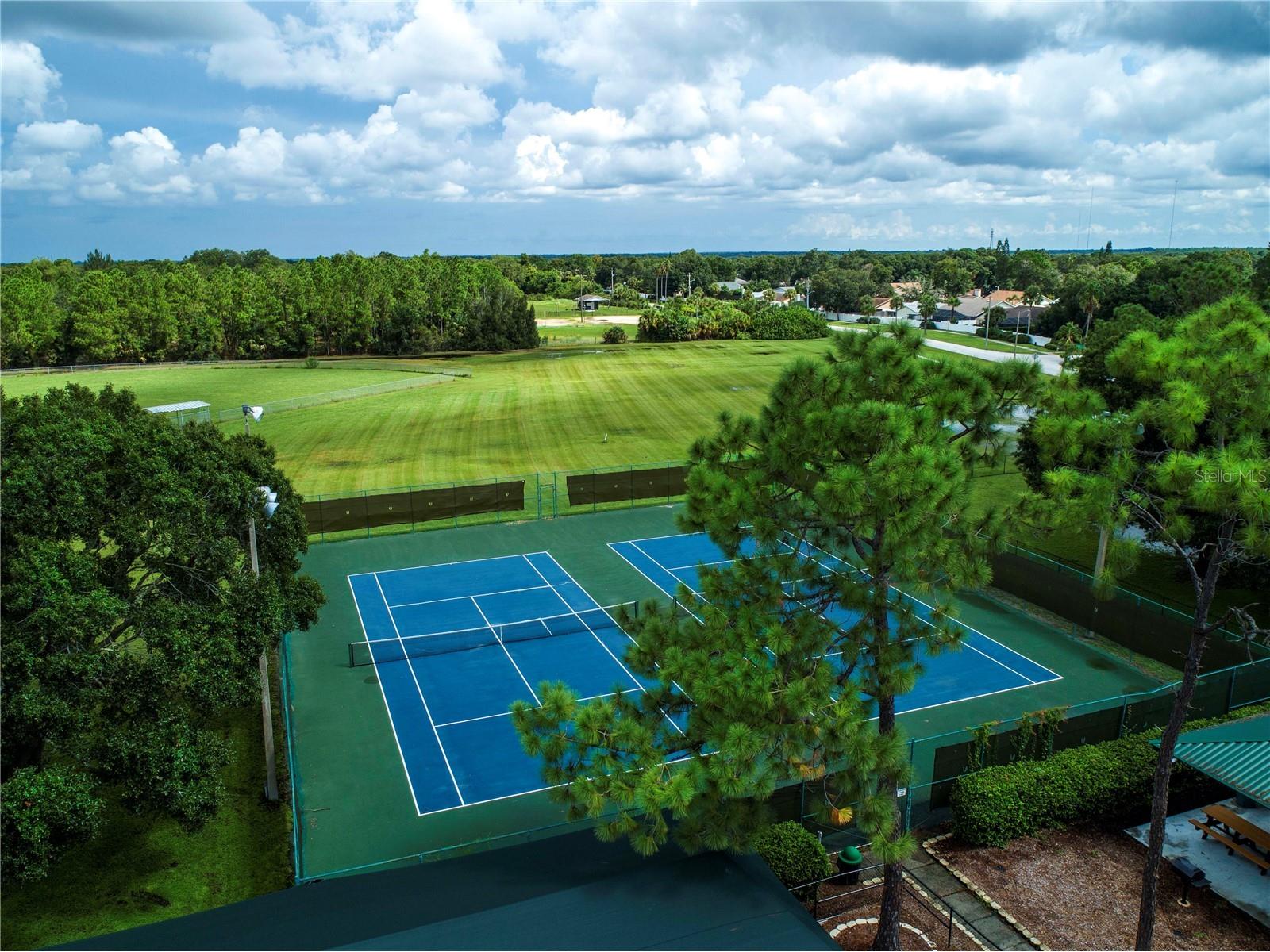 11330 Villas On The Green Drive Riverview FL 33579 TB8509632 image70