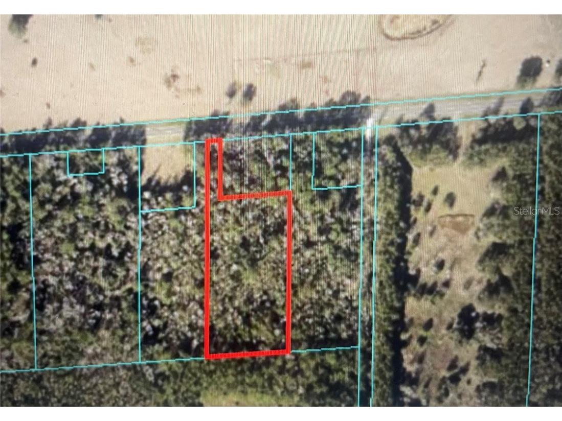 11330 W Highway 318 Reddick FL 32686 OM662515 image1