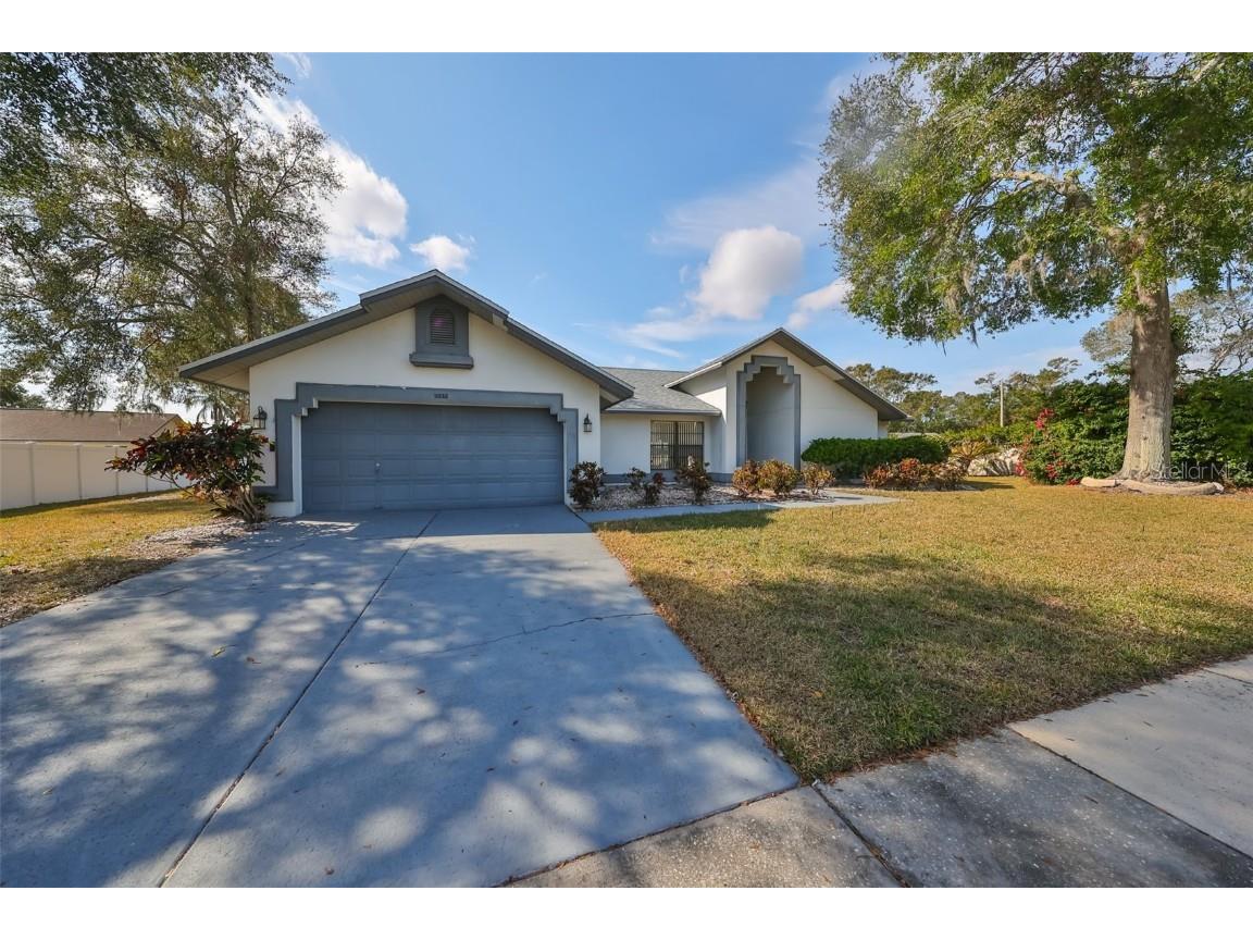 11332 Torrey Pines Drive Riverview FL 33579 TB8329404 image1