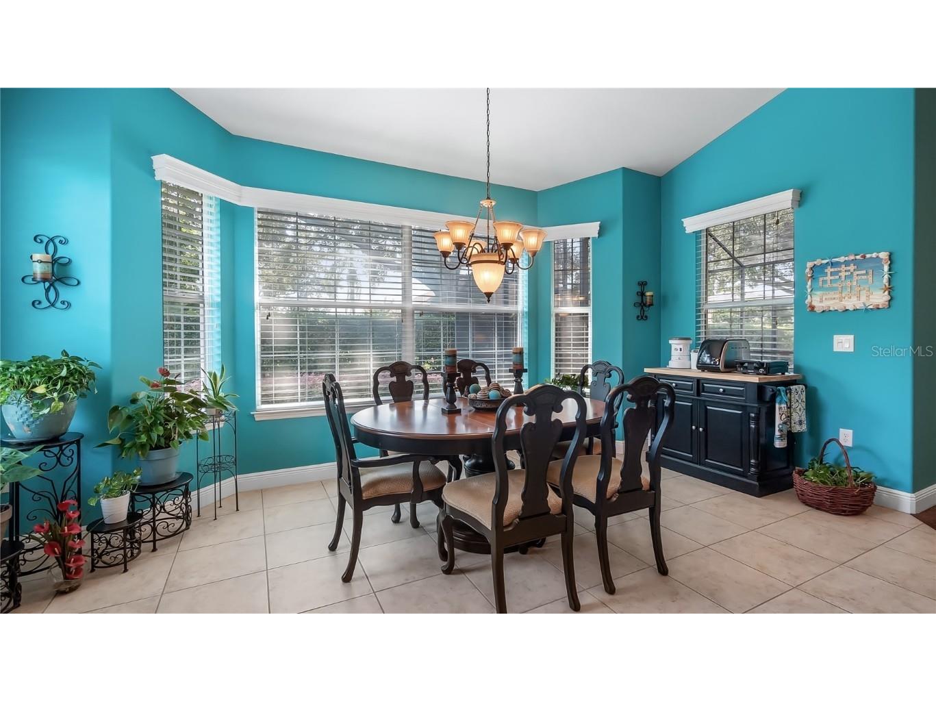 11333 Cypress Shore Court Clermont FL 34711 - LAKE SUSAN G5101548 image9