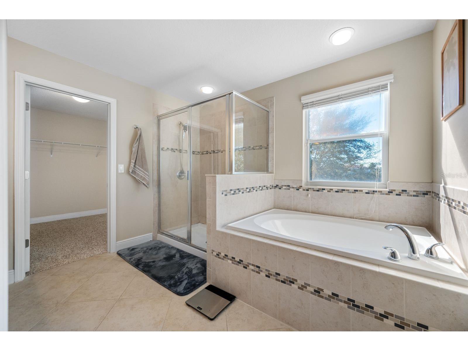 11333 Emerald Shore Drive Riverview FL 33579 A4681840 image48