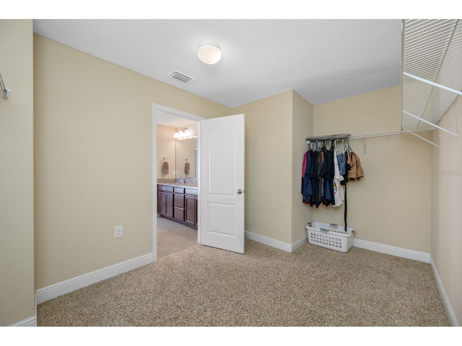 11333 Emerald Shore Drive Riverview FL 33579 A4681840 image50