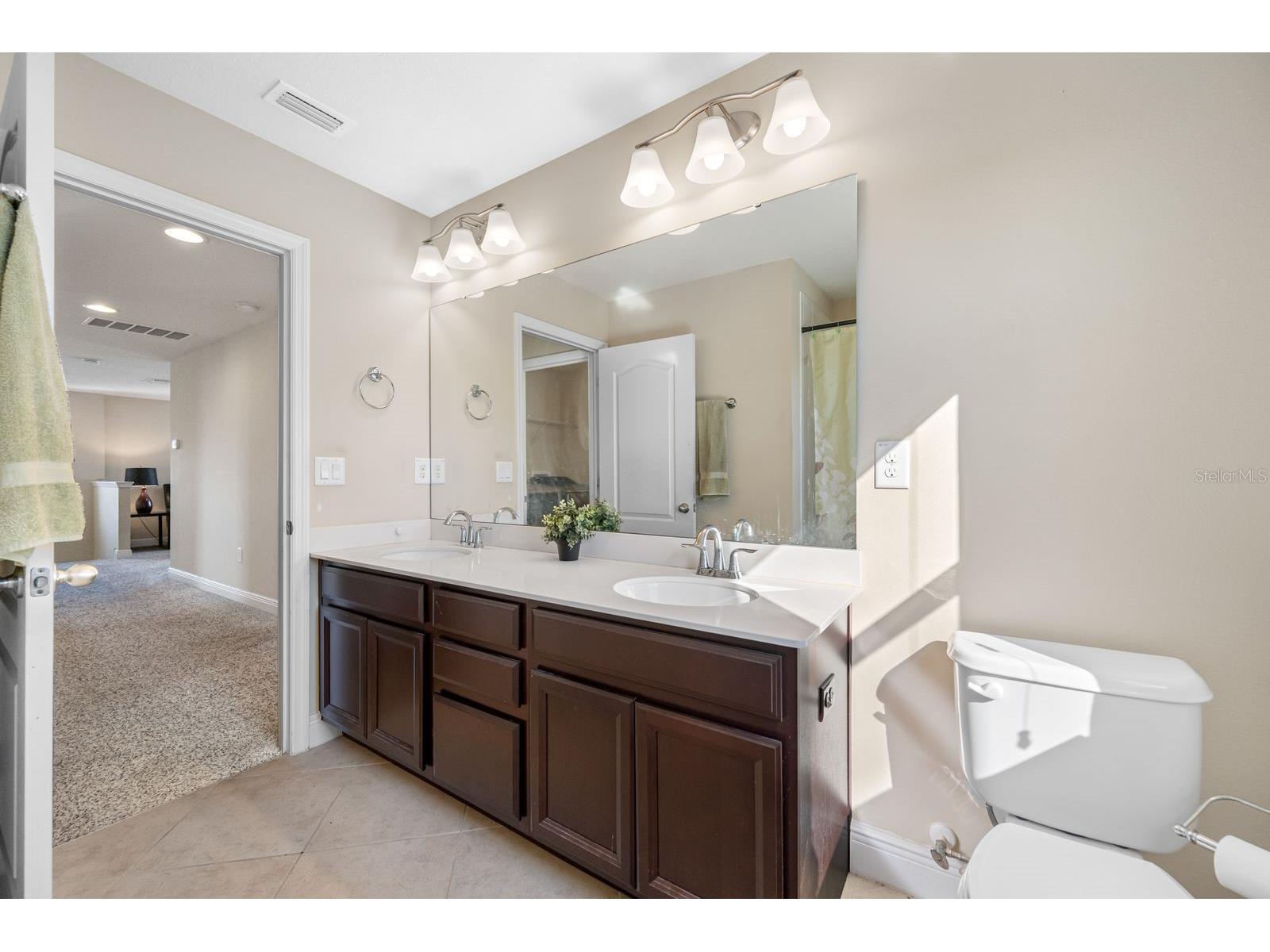 11333 Emerald Shore Drive Riverview FL 33579 A4681840 image58