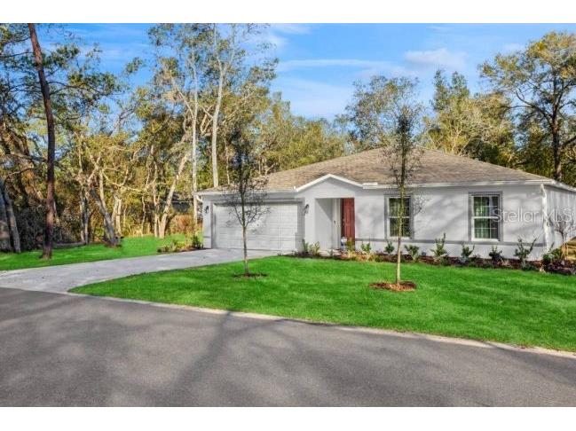 11334 N Fuego Drive Citrus Springs FL 34434 O6392198 image2