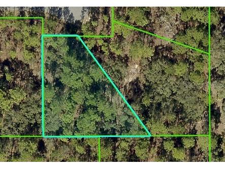11334 Telephone Road Weeki Wachee FL 34614 W7873974 image1