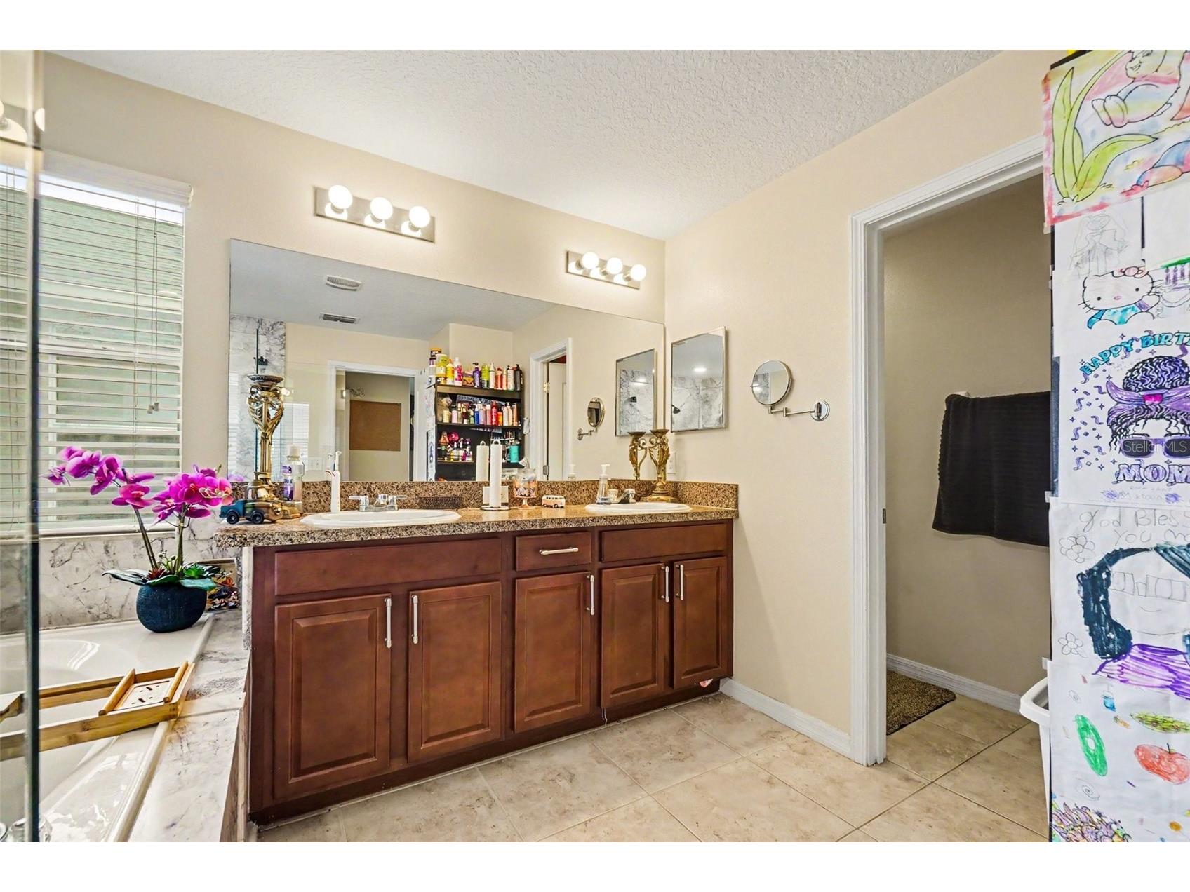 11334 Villas On The Green Dr Riverview FL 33579 TB8515833 image10