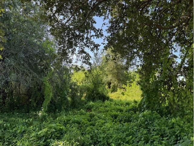 11335 Eighth Avenue Punta Gorda FL 33955 TB8415532 image7