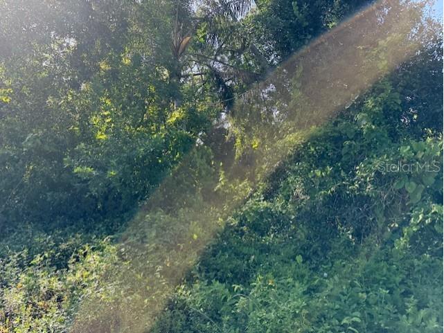 11335 Eighth Avenue Punta Gorda FL 33955 TB8415532 image8