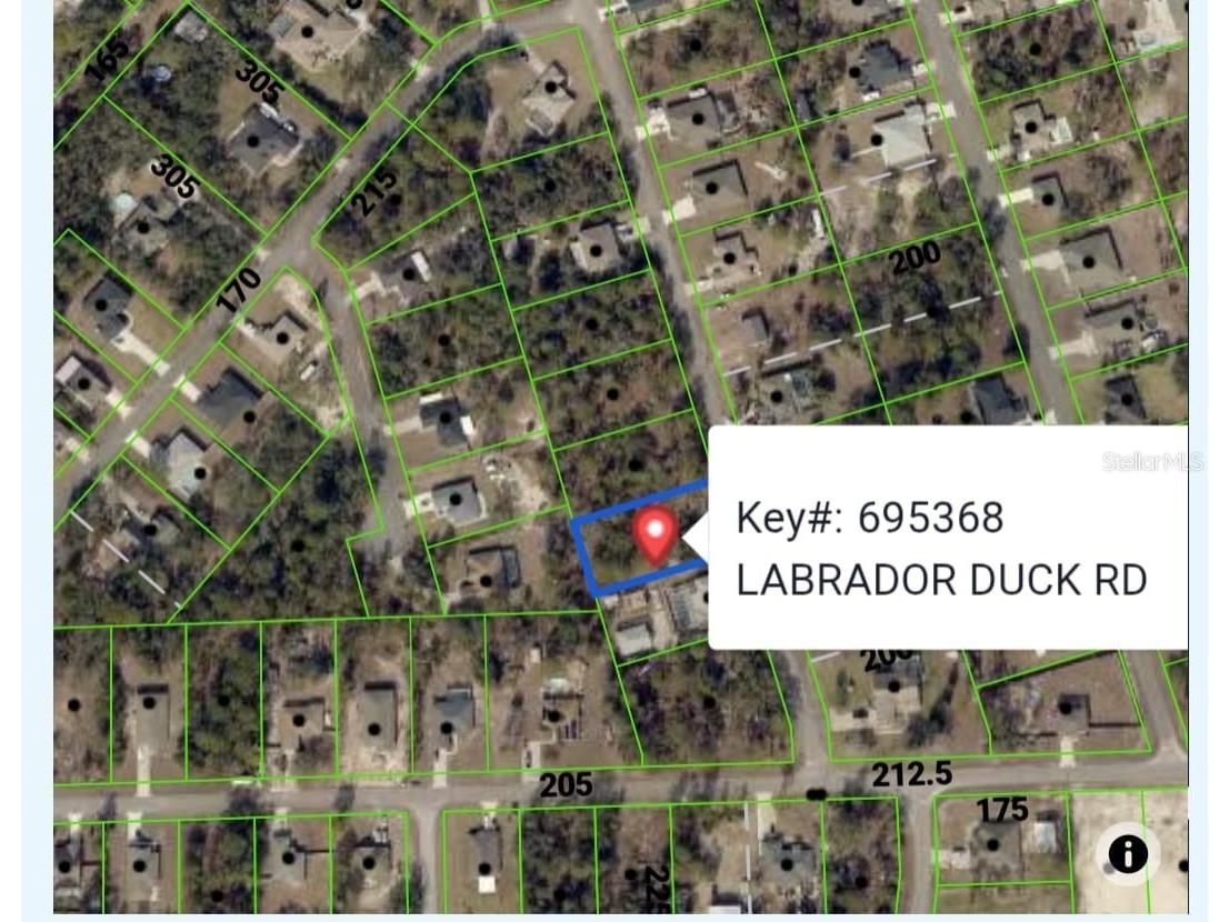 11335 Labrador Duck Road Weeki Wachee FL 34614 TB8524133 image1